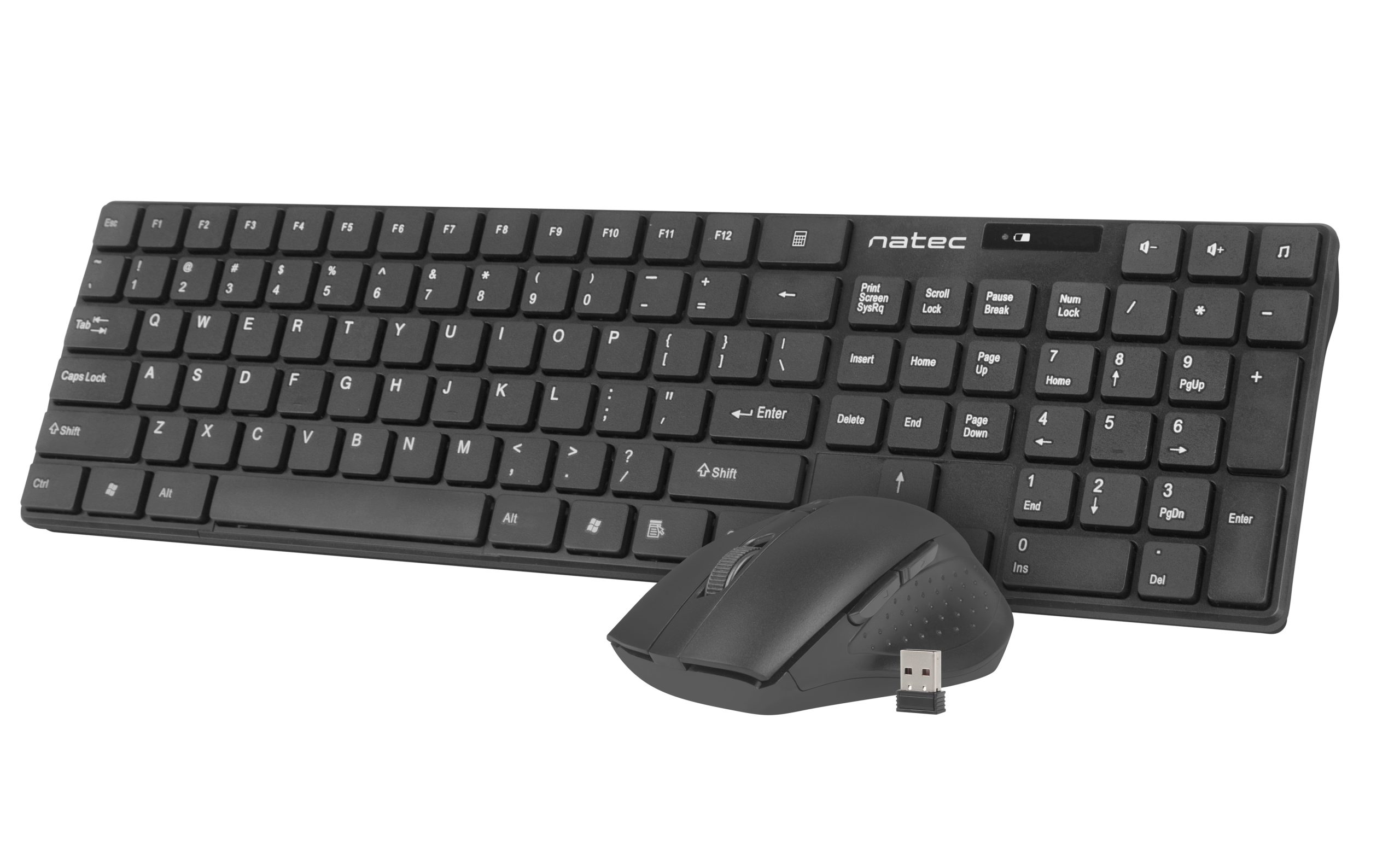1_1701155643 Natec STINGRAY Wireless Keyboard & Mouse Combo Black - Image 1