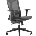 Lumivida Office Chair Ergonomic Mesh Lumbar Support Adjustable Seat/Armrest Black CH05-7