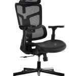 Lumivida Office Chair Ergonomic Mesh Lumbar Support Adjustable Seat/Armrest Black CH10-10