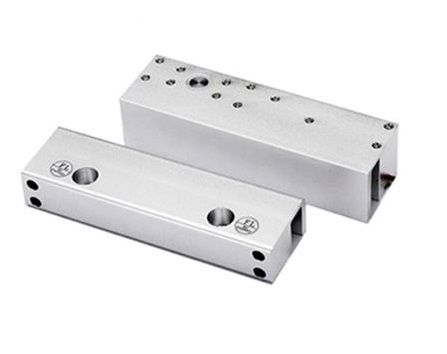 ZDL-5818_1602321771 Zudsec Electric Bolt Lock For Frameless Glass Door ZDL-5818 - Image 1