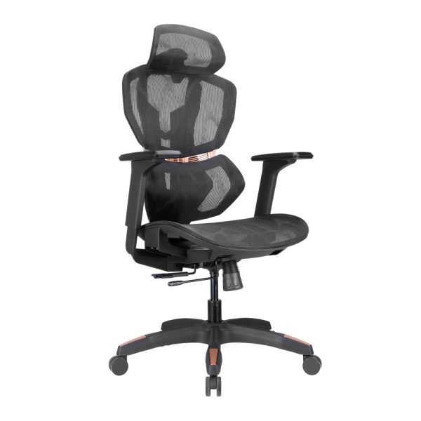 Lumivida Gaming/Office Chair Ergonomic Mesh Lumbar Support Adjustable Seat/Armrest CH09-8 Black
